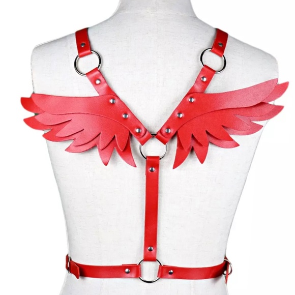 Red Leather Harness Set - Picture 6 of 9